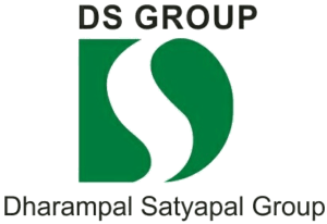 DS_Group_logo